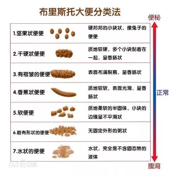 粪便性状:硬度,是否干结?