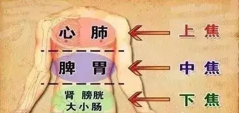 三焦经:女人美容经!收了吧! 三焦经:女人美容经!收了吧!