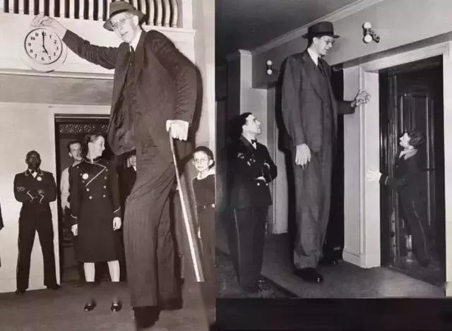 世界历史上身高超过2.7米的巨人"罗伯特·瓦德罗"