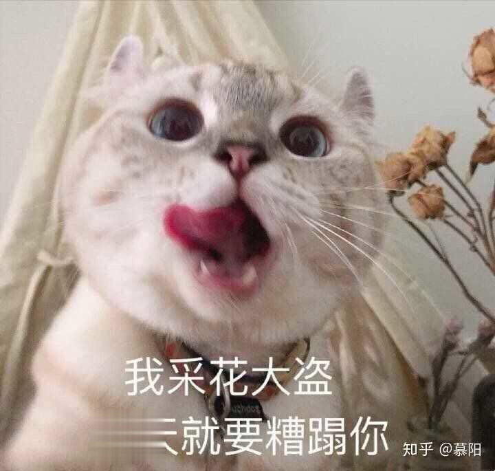 撒娇. 女生撒娇有效果,直男撒娇有奇效