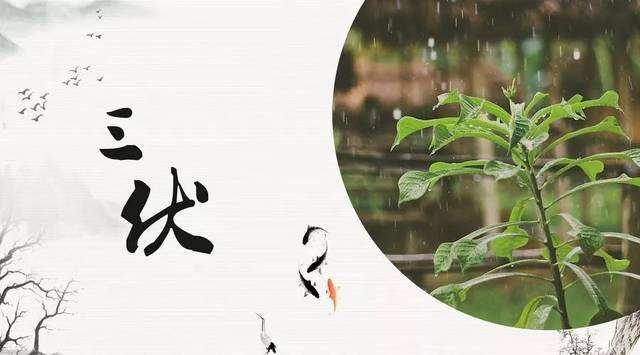 入伏了!今年三伏足足有40天,怎么过三伏?看看你过错了没 通博官方网注册