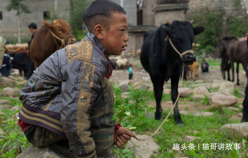 放牛娃遇母子问路,恶作剧故意指错方向,却无意中挽救了三家人 云顶娱乐官网