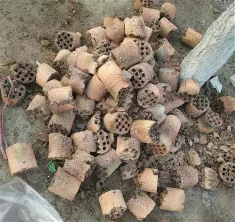 “一窝煤”,养花不烂根,易爆盆 fg游乐电子官方网站