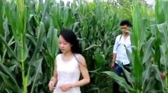今生相爱却难相守,情侣双双奔赴黄泉,天价彩礼是个惹事精 千亿国际游戏的网站