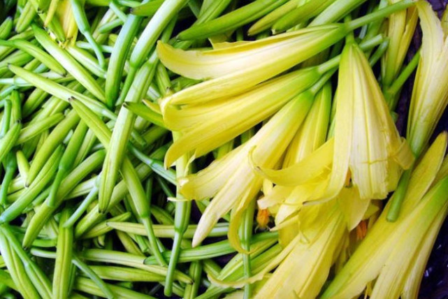 它被称“忘忧草”,安神睡眠好,血管不堵塞,减脂洗肠,越食越瘦 申博sunbet