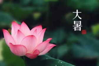 各地过''大暑''的习俗,以及大暑期间适合吃的食物 各地过''大暑''的习俗,以及大暑期间适合吃的食物