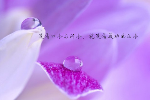致自己的文艺短句,句句动人心弦,越读越喜欢 网上澳门赌场网址