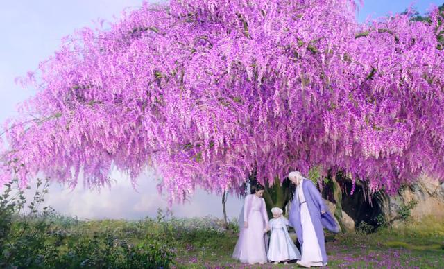 三生三世：白浅七万岁，凤九三万岁，取个心头血，高下立见