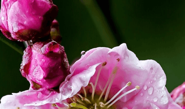珍藏干货分享，10款装机必备软件，小白秒变高玩
