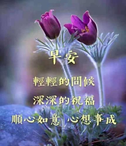 生活是一个细腰女子