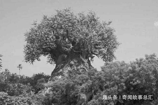 故事：灵异鬼故事：美女的秘密