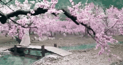 《三生三世十里桃花》暴露的赤裸裸的现实,这才是这部剧的真相