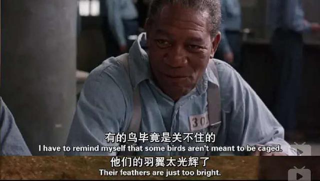 132分钟越狱实录,5人约定越狱,爬到洞口发现,最难越的狱是人心