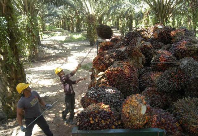 27国拒不援助，唯独中国对其雪中送炭，如今限制中国进口贸易