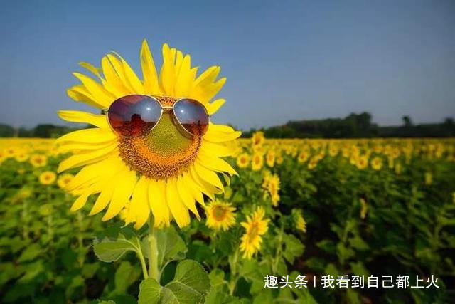 请在自己热爱的世界里闪闪发光