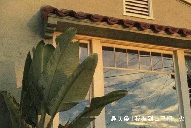 请在自己热爱的世界里闪闪发光