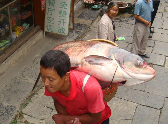QQ截图20200920104720.png