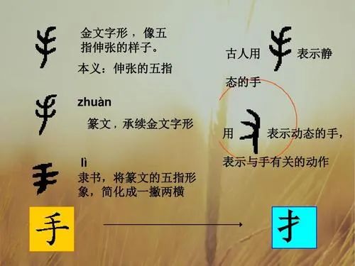 取名 ｜ 姓名笔画中带有提手旁，到底好不好？