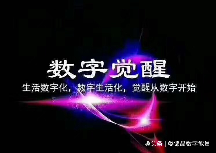 如何避免发生车祸？有车族必看！给您解密车牌号码磁场吉凶