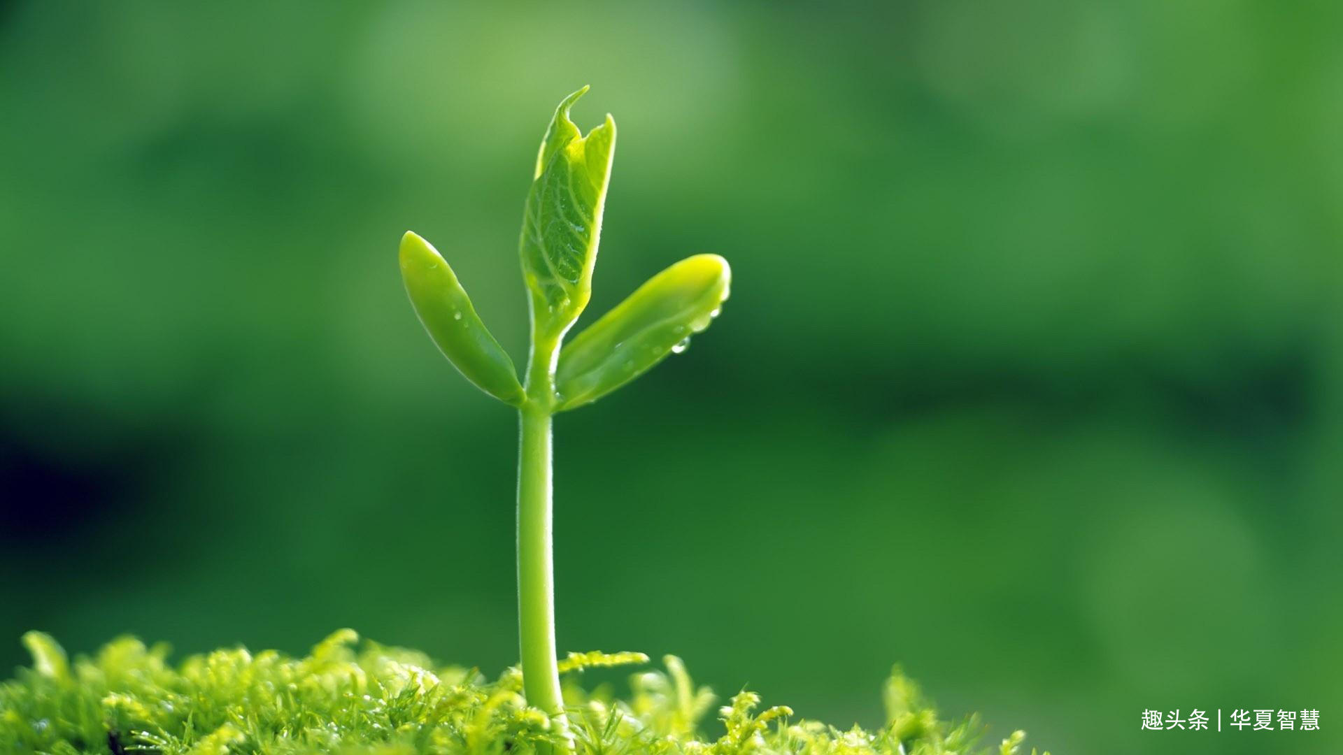 迷茫的时候，算命没用，找不到突破口时，破局需要引入“变量”