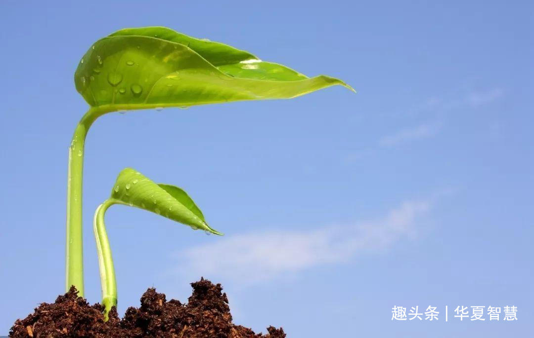 迷茫的时候，算命没用，找不到突破口时，破局需要引入“变量”