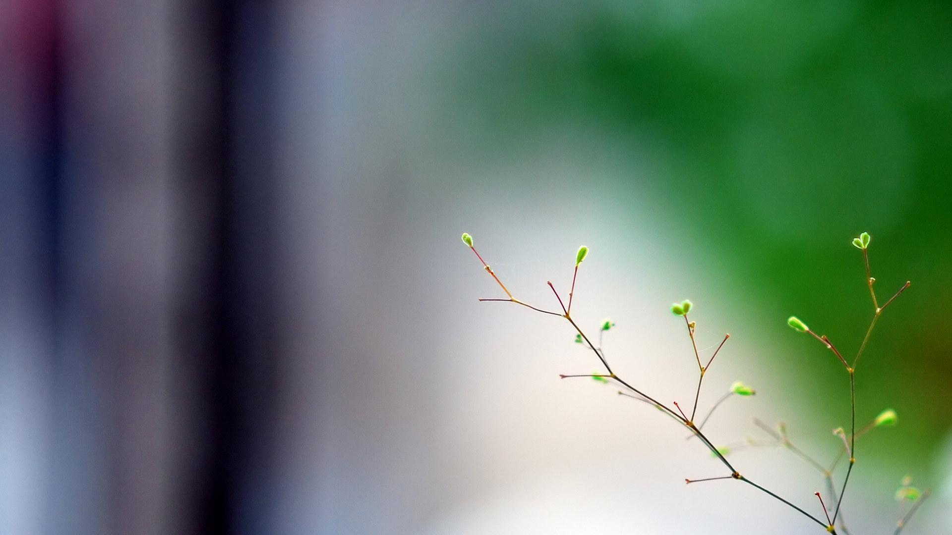 迷茫的时候，算命没用，找不到突破口时，破局需要引入“变量”