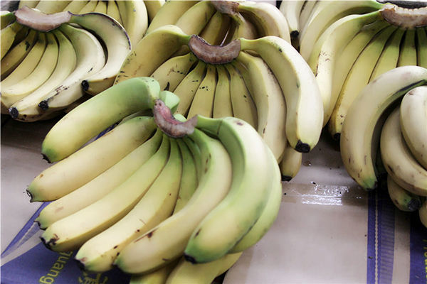 饭后一根香蕉，补钾又能降血压？香蕉长了黑斑能不能吃？