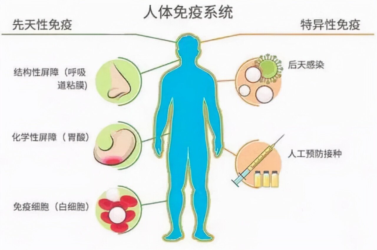 4种通过“性传播”的病你知道几个？建议：私生活别太“放纵”