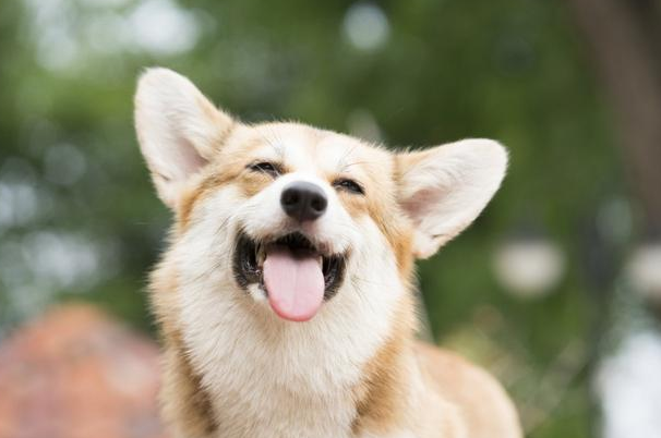 {459518CB-FD46-4D42-AB3D-BB2C6EEB737F}.png