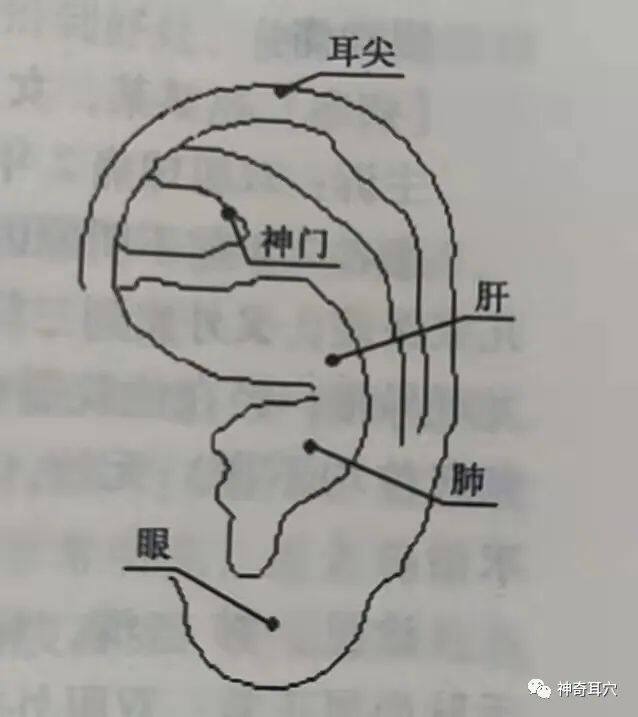 e6a589b3c122062c8180e61efc87e3fe.jpg