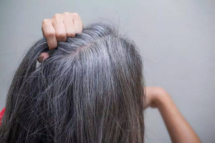 哈佛研究发现：长白发的人不容易患癌？是谣言还是真理？