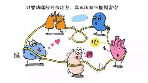 高血压形成的原因 的图像结果