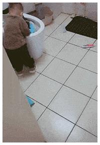 4.gif