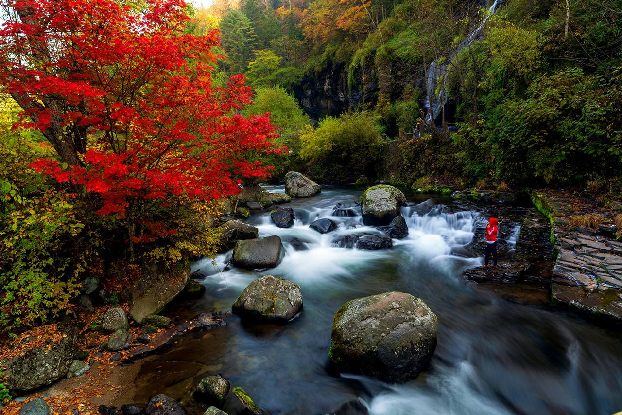 完美体育官网山东必去五大旅逛景点(山东旅逛必去十大景点)