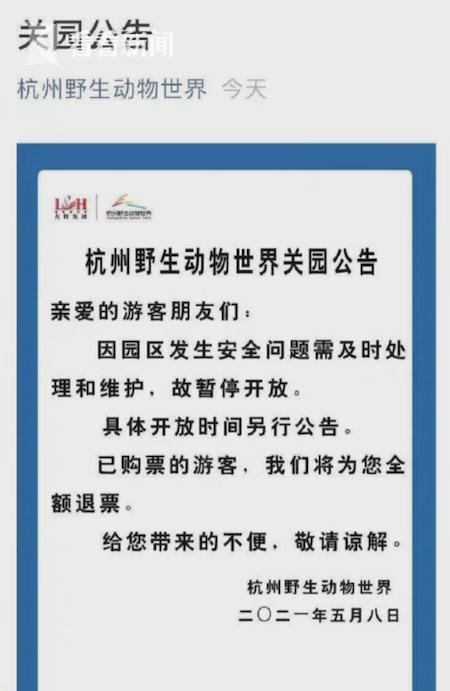 出逃的3只金钱豹已有2只被捕获 杭州野生动物世界致歉