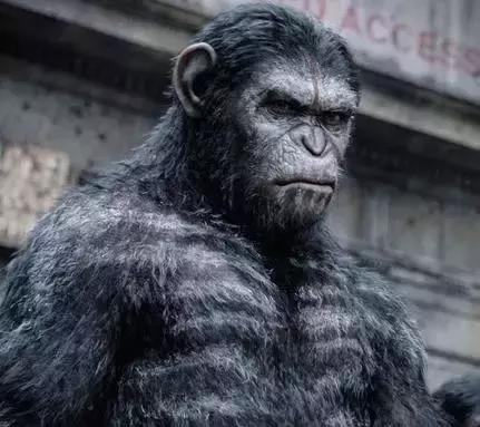 自媒咖-免费的自媒体辅助软件_今日头条采集_爆文采