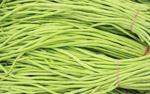 豇豆,扁豆,荷兰豆,四季豆.这么强大的豆角家族,你分得清吗
