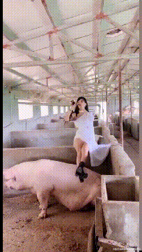 搞笑美女gif集合:姑娘,你不觉得这里臭气熏天吗