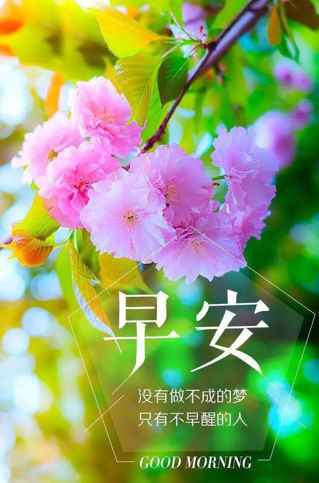 2020年第76期:早安朋友圈,经典美文正能量分享句子