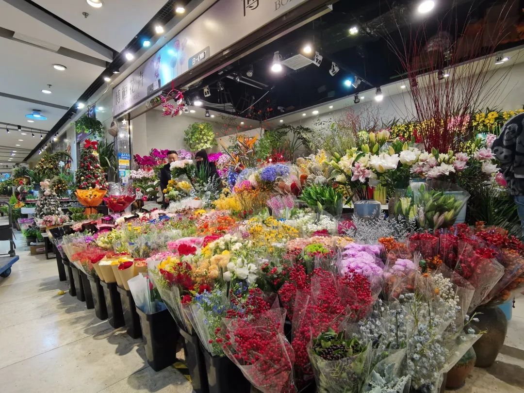 花开富贵 古北花卉市场的 年宵花 争奇斗艳 上观新闻