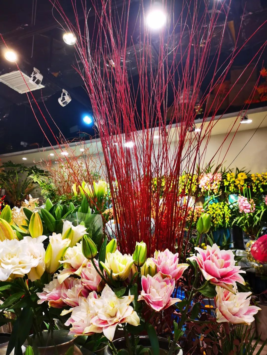 花开富贵 古北花卉市场的 年宵花 争奇斗艳 上观新闻